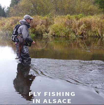 Fly fishing in Alsace